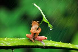 Some people feel the rain, others just get wet.